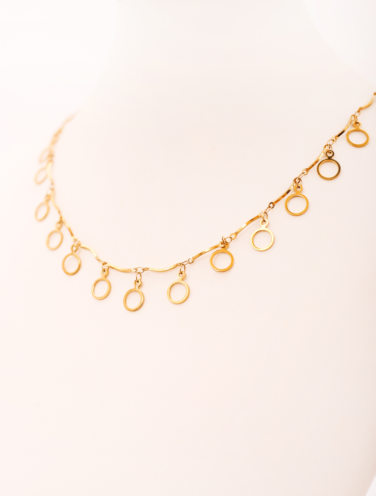 IMG_6016 CIRCLE OF LIFE - Image 5