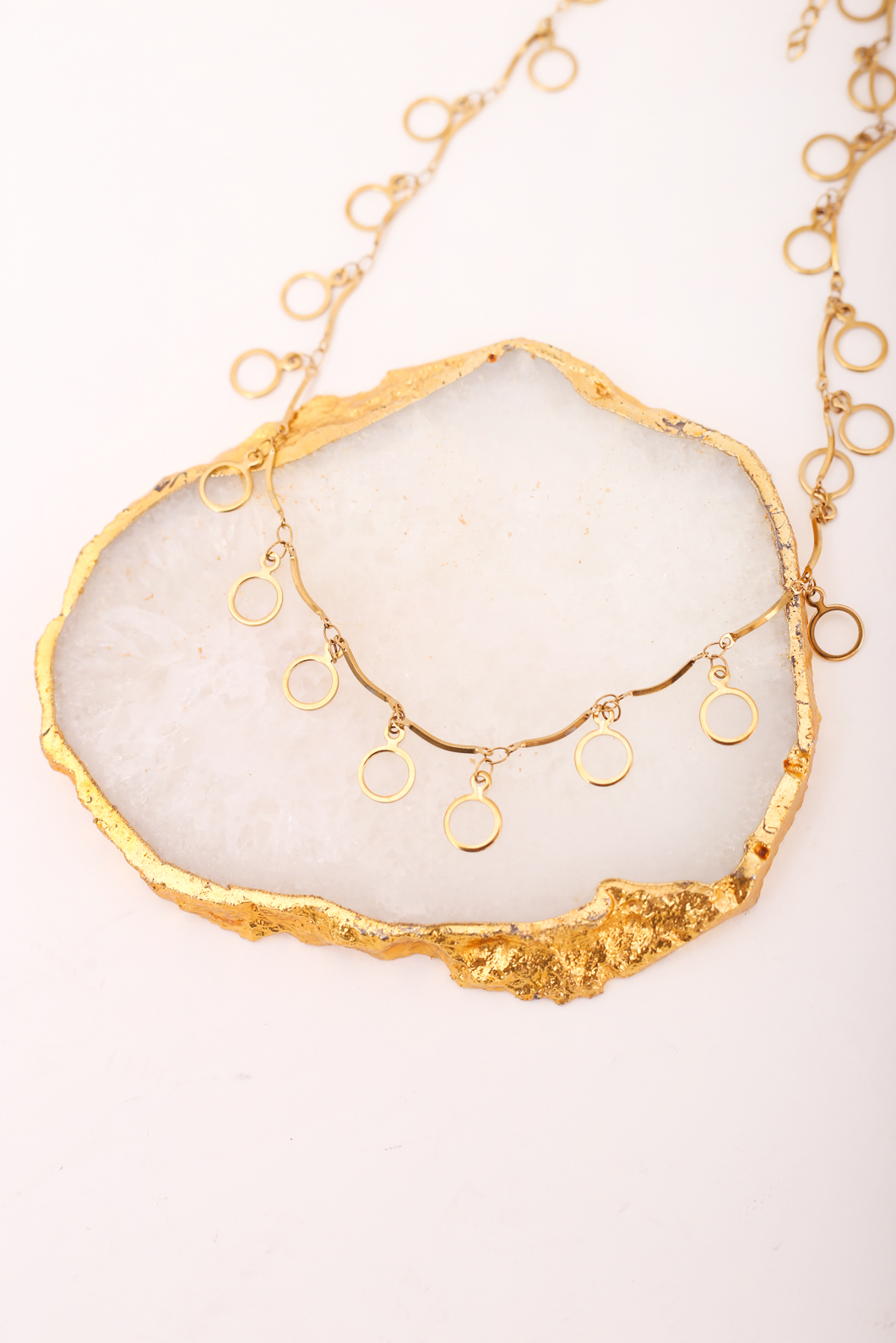 IMG_6069 CIRCLE OF LIFE - Image 7